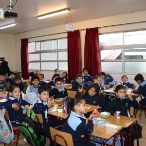 Día de la Actividad Física